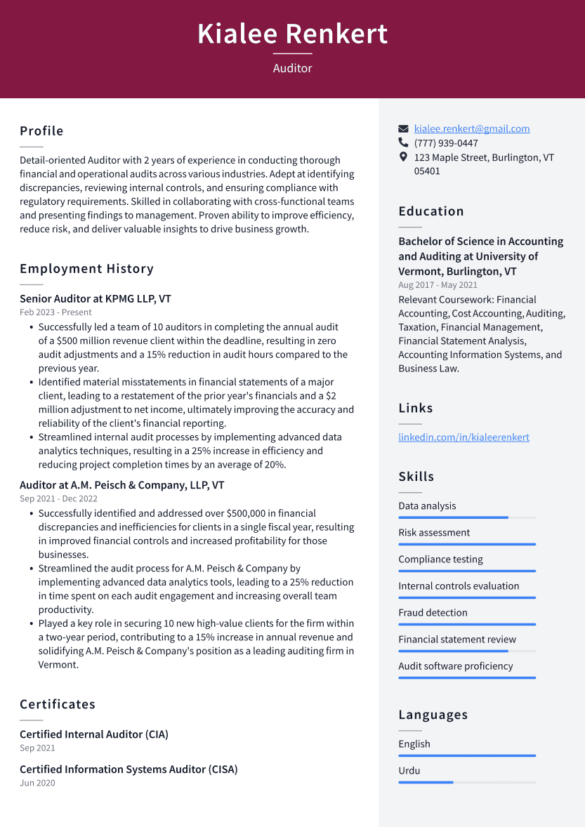 Auditor Resume Example