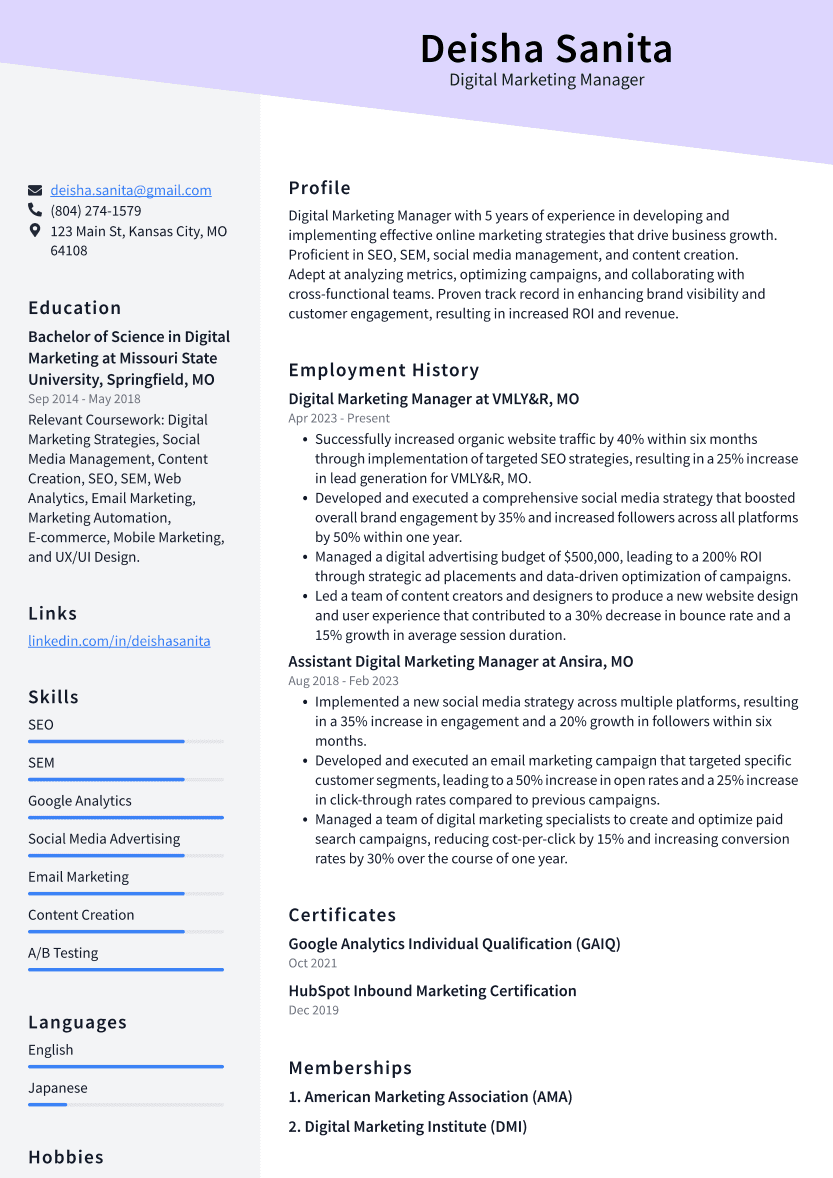 Digital Marketing Manager Resume Example
