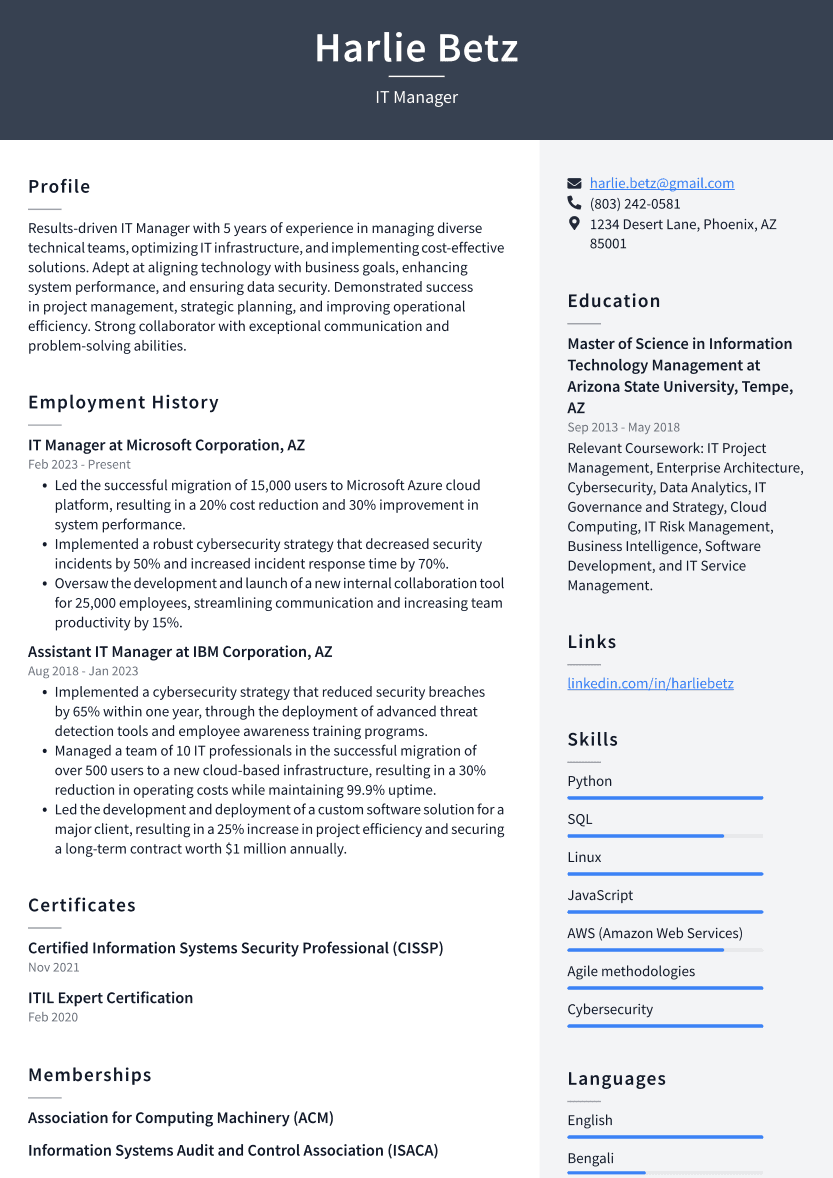 IT Manager Resume Example