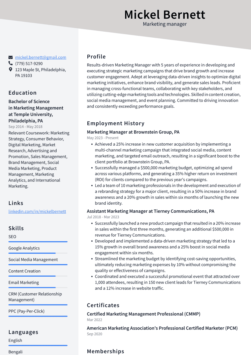 Marketing manager Resume Example