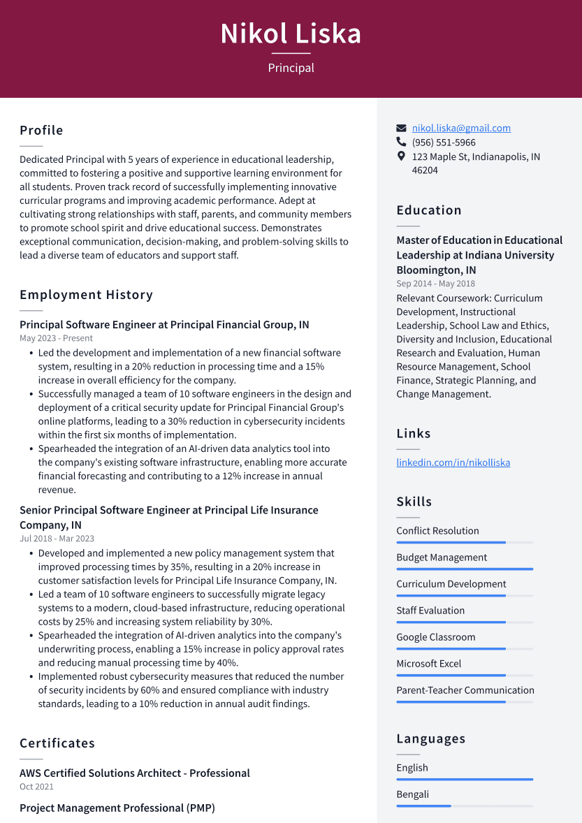 Principal Resume Example