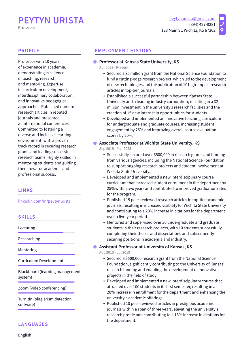 Professor Resume Example