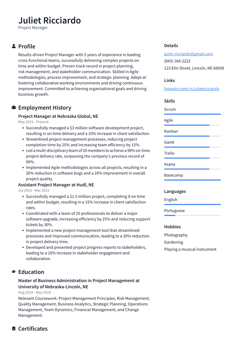 Project Manager Resume Example