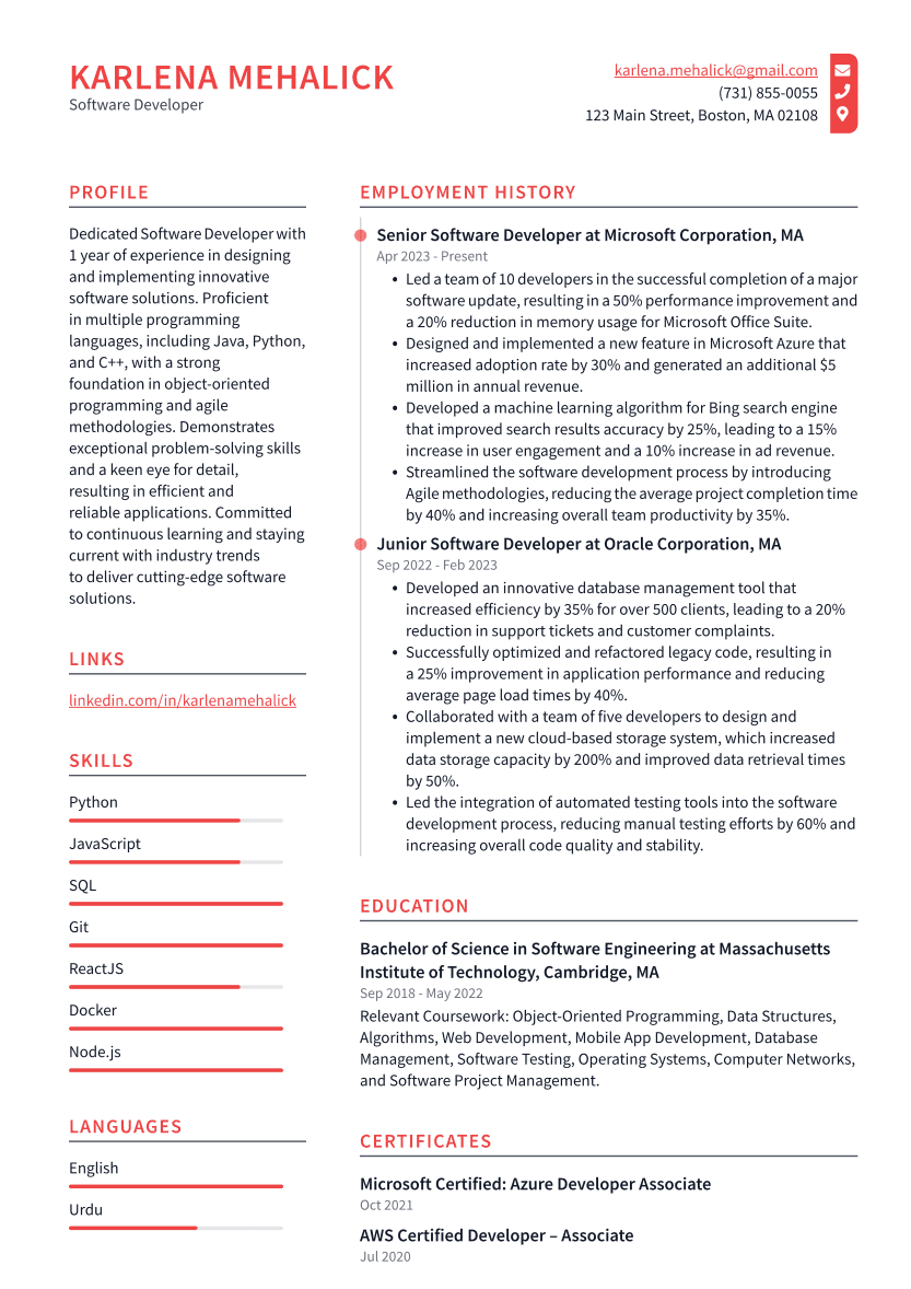 Software Developer Resume Example