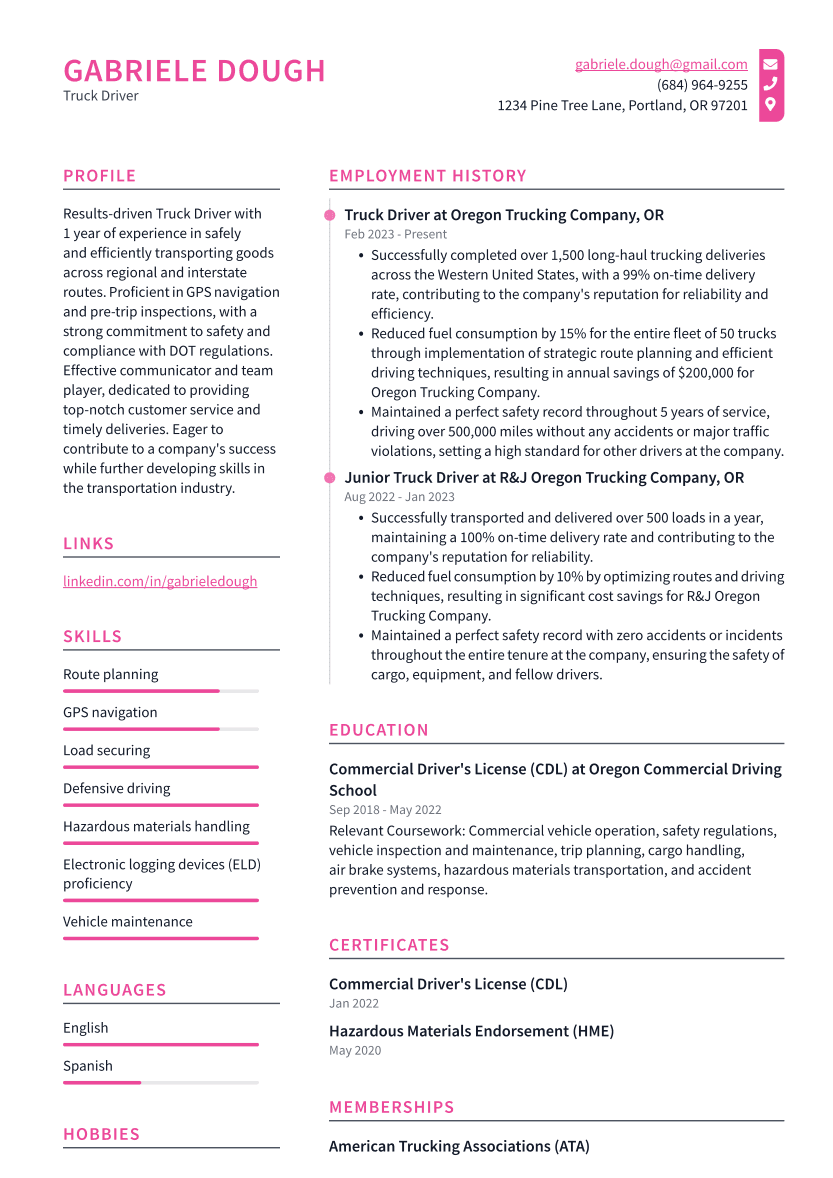 Truck Driver Resume Example