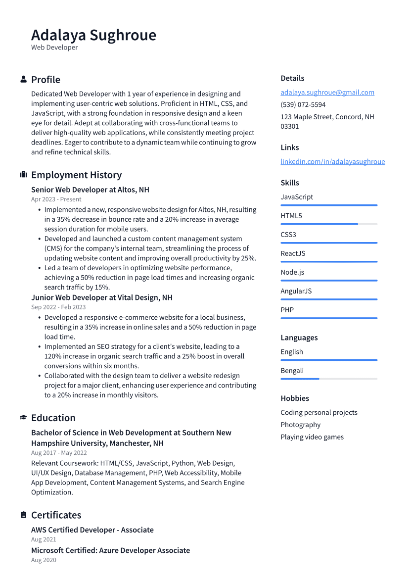 Web Developer Resume Example